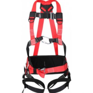 Versatile harness and belt with 3 attachment points